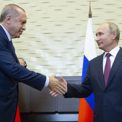 Recep Tayyip Erdogan och Vladimir Putin skakar hand.
