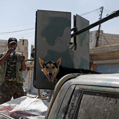 En kurdisk soldat med sin hund