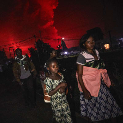 Kongoleser med packning flyr undan vulkanen Nyiragongos utbrott. Himlen bakom dem är färgad röd av utbrottet.