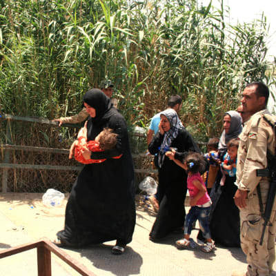 Irakier från provinsen Anbars centralort Ramadi på flykt undan Islamiska staten.