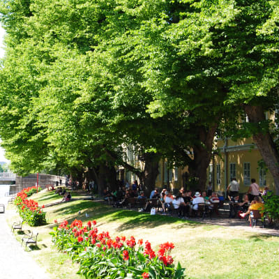 Längs med Aura å i Åbo sitter människor och äter lunch utomhus. 