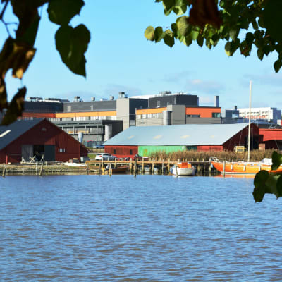 wilenius båtvarv