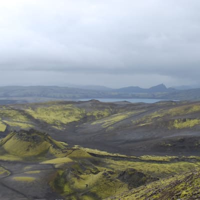 Vulkanen Laki på Island.