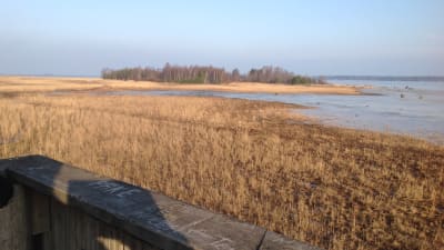 Fågelsjö
