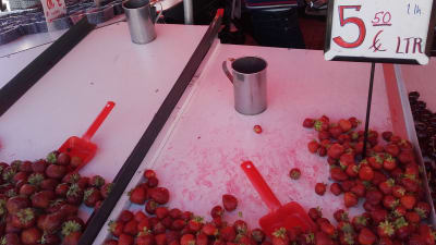 jordgubbsförsäljning vid salutorget i Helsingfors