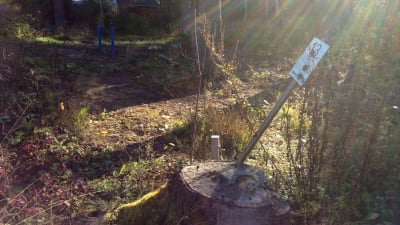 En tomt i skogen, blåa vattenledningar som är dragna till tomten syns, likaså en liten skylt med tomtnumret 13, solsken