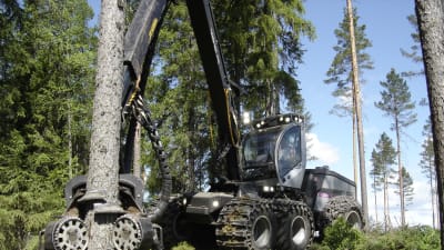 Skogsmaskintillverkaren Logset har fått en betydande beställning från Chile