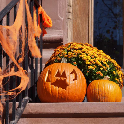 Halloweendekorationer i Brooklyn