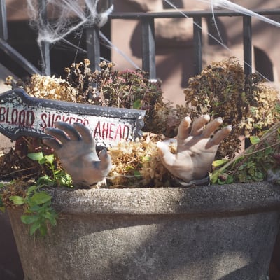 Halloweendekorationer i Brooklyn