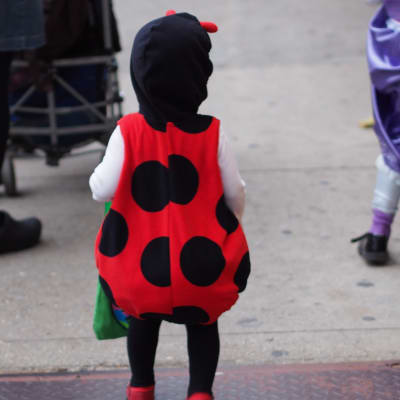 Halloween i Park Slope, Brooklyn 2014