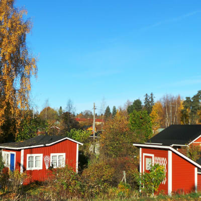 Koloniträdgård i Tammerfors
