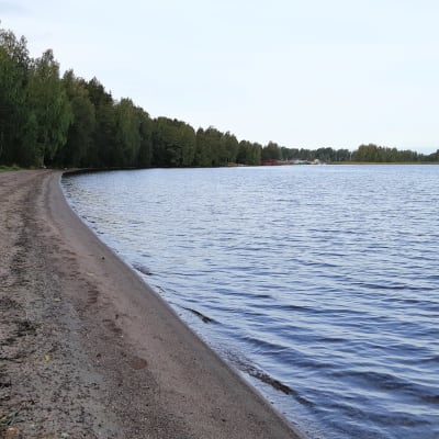 Hiekkainen uimaranta Saimaalla Lappeenrannassa.