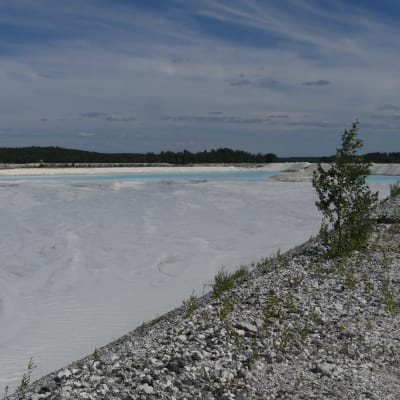 Rikastushiekka altaat