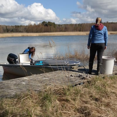 Två kvinnor förbereder sig för att åka ut med en öppen båt som ligger vid en brygga, i bakgrunden vass