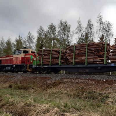 Juna kuljettaa puulastia Suupohjan radalla Seinäjoella. 