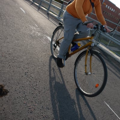 Cyklist på landsvägen