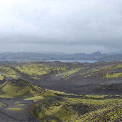 Vulkanen Laki på Island.