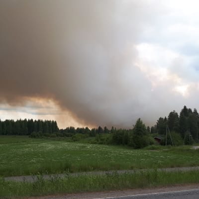 Maastopalosta muodostunutta savua Muhokselta.