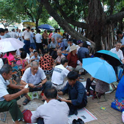 En park där kinesiska pensionärer sitter och spelar kort och umgås. En del har parasoll eller små pallar, en del sitter på marken. Ett stort träd finns i höger sida av bilden. I förgrunden fyra män som spelar kort och en dam i röd hatt.