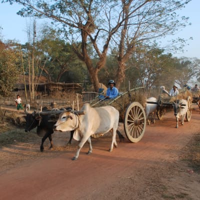 Myanmar