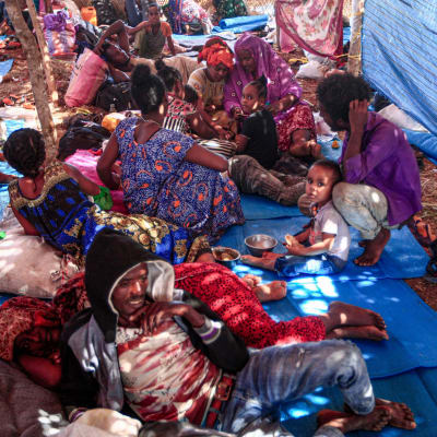 Etiopier som flyr kriget i regionen Tigray. Flyktinglägret Um Rakuba i Sudan 16.11.2020 
