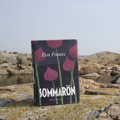 Eva Frantz debutroman Sommarön på några klippor i skärgården.