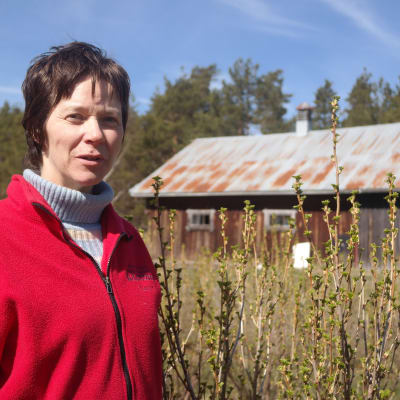 Margot Wikström
