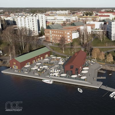 Illustration av Wasa Marinas restaurangplaner invid Brändö Sund. Strandlinjen syns och i bakgrunden bostadshus, restaurangen omfattar två byggnader samt terass och bryggor.
