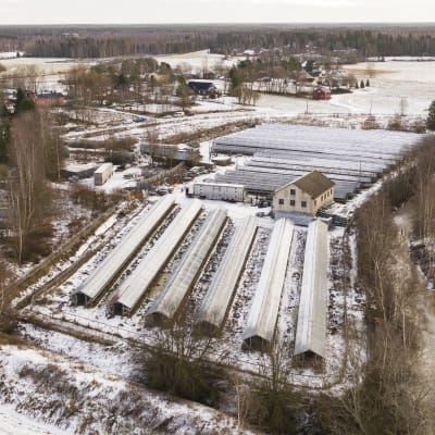 Flygbild av en pälsfarm. Skugghus i en snöig landsbygdsmiljö.