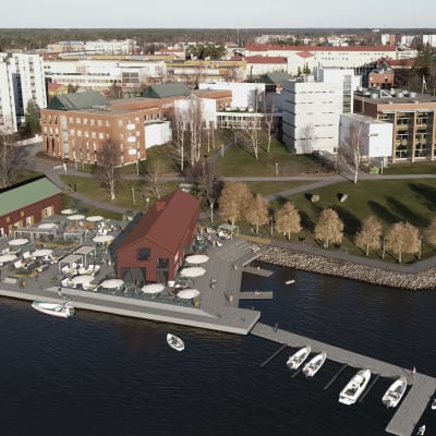 Illustration av Wasa Marinas restaurangplaner invid Brändö Sund. Strandlinjen syns och i bakgrunden bostadshus, restaurangen omfattar två byggnader samt terass och bryggor.