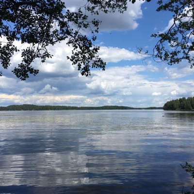 Lohjanjärven ranta Vohloisissa.