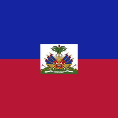 Haitin virallinen lippu