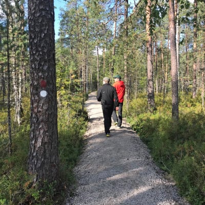 Sorastettu polku ja retkeilijöitä Pyhä-Häkin kansallispuistossa Saarijärvellä.