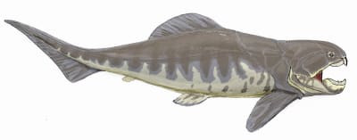 Konstnärens vision av en Dunkleosteus-fisk.