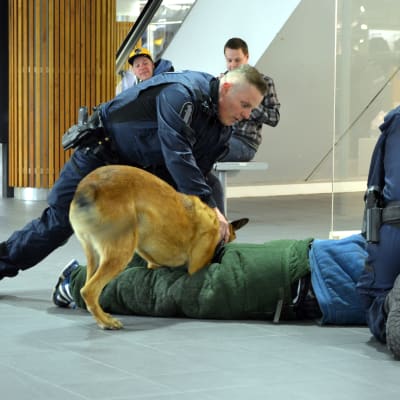 Två poliser och en polishund har fått ner en man på golvet i Rewell Center i Vasa.