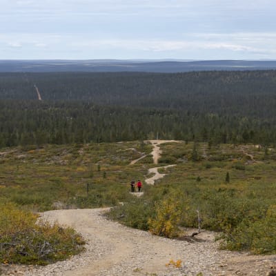 Urho Kekkosen kansallispuiston Kiiruna-polulla riitti kulkijaa elokuun lopussakin