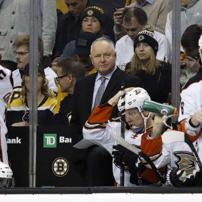 Randy Carlyle lotsar Anaheim Ducks i NHL.