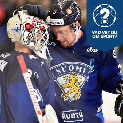 Finlands spelare firar på isen.