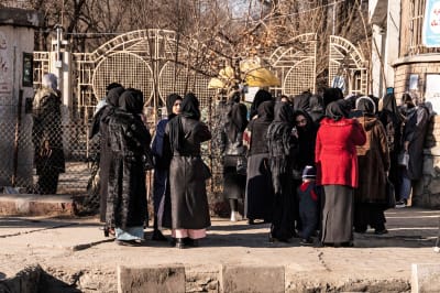 Afghanska kvinnliga universitetsstudenter utesängdes av talibanernas säkerhetspersonal från ett universitet i Kabul