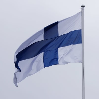 Suomen lippu liehuu Pappilansalmen koulun pihalla.
