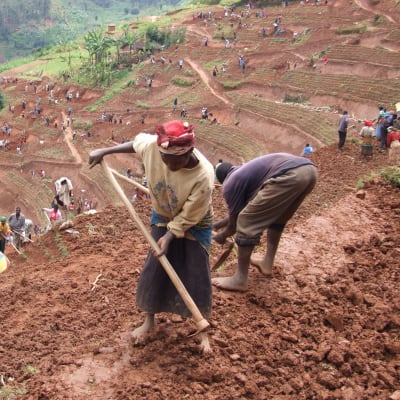 kvinnor i norra Rwanda brukar jord