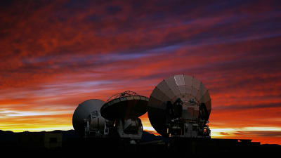Radioteleskopet ALMA i Chile.