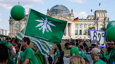 Demonstranter bär flaggor med cannabis-symboler.