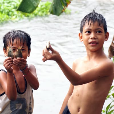 Barnen fiskar i Caloocan City