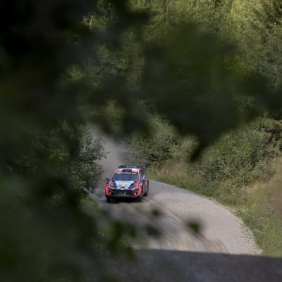 Esapekka Lappi Jyväskylän MM-rallia edeltävissä testeissä 25. heinäkuuta 2023.