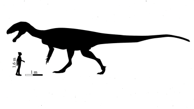 Jämförelse mellan människa o dinosaurie storlek