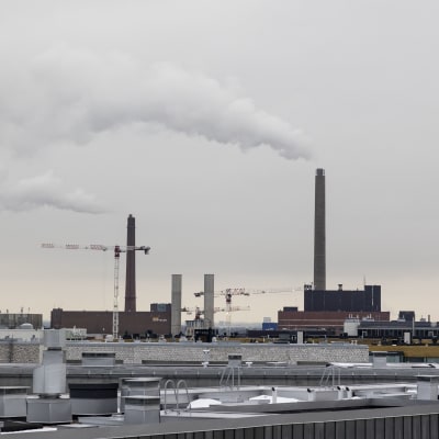 Helein Salmisaaren voimalaitosten yläosat ja piiput, jokta tupruttavat savua ilmaan. Kuvan alaosassa alueen rakennusten kattoja.