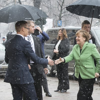Alexander Stubb skakar hand med Angela Merkel i en bild från år 2015.