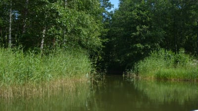 Vassa och mitt i den ingången till en liten vik.