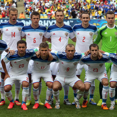 Rysslands landslag i VM 2014